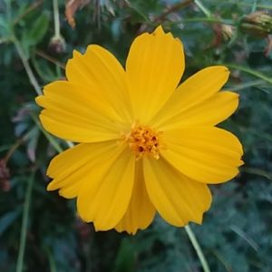 Meet your Posher, Rachael